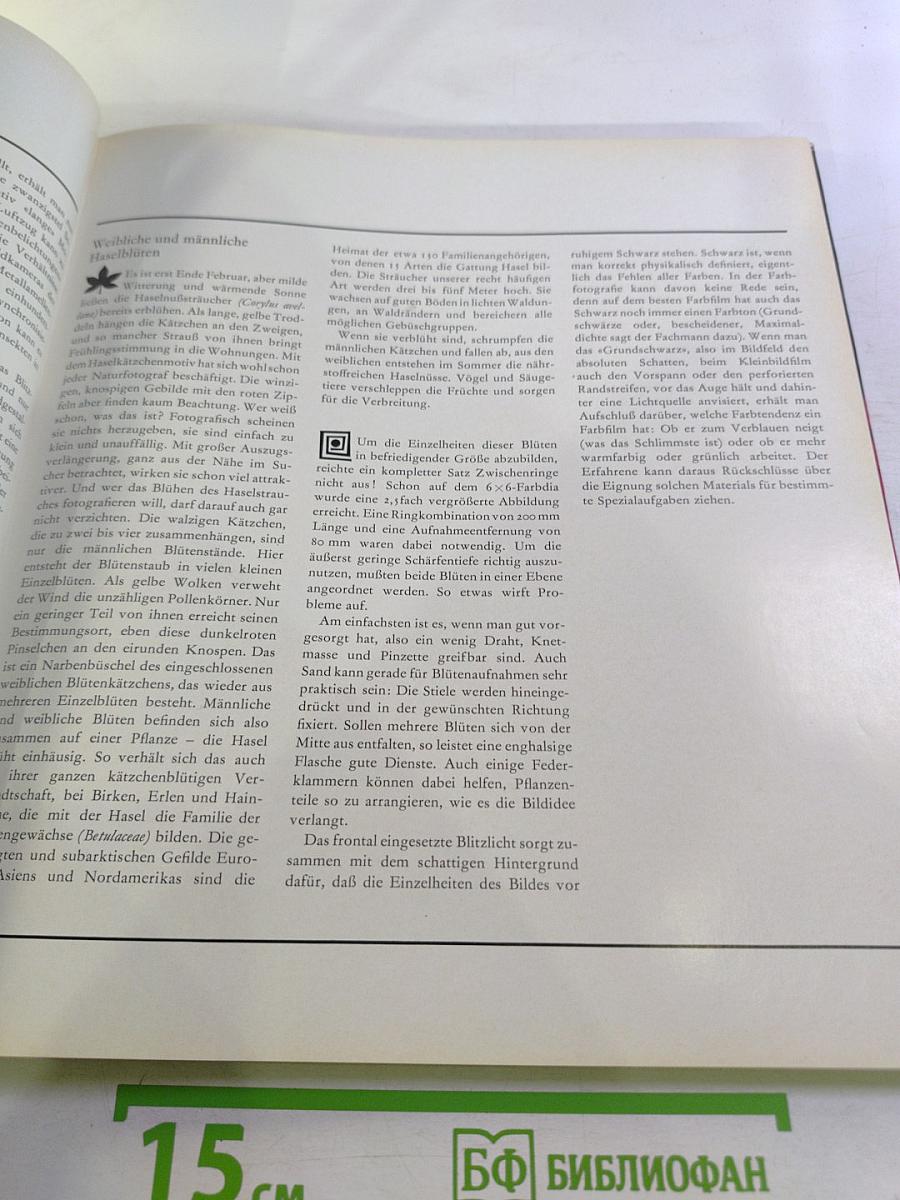 Faszination der Nähe