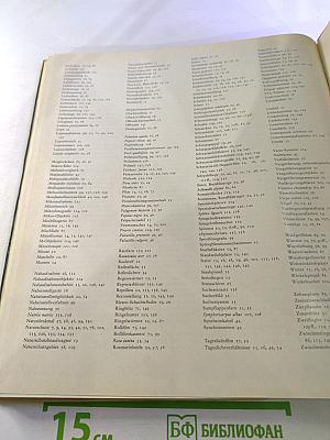 Faszination der Nähe