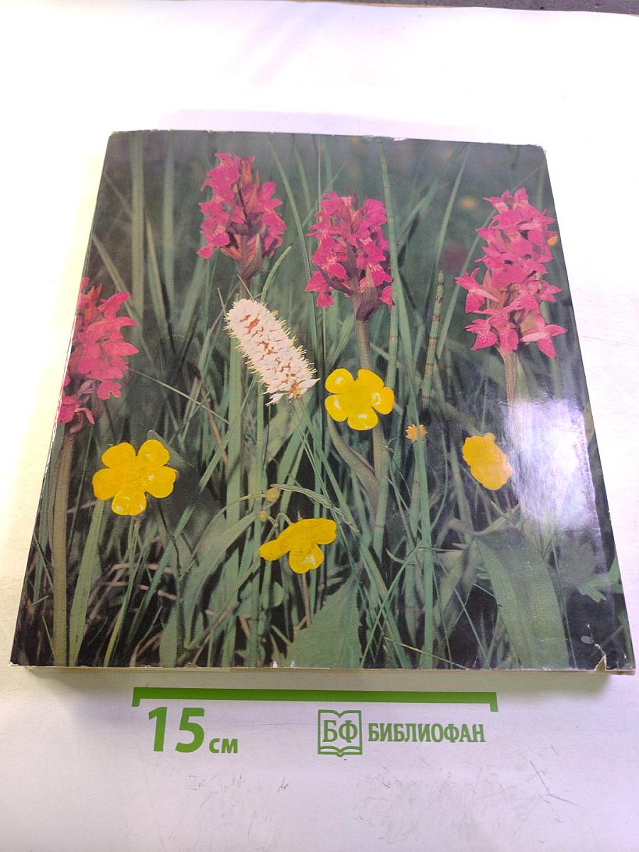 Faszination der Nähe