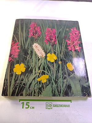 Faszination der Nähe