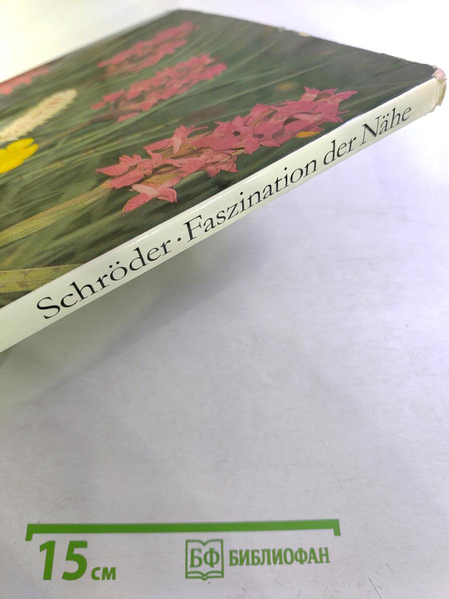 Faszination der Nähe