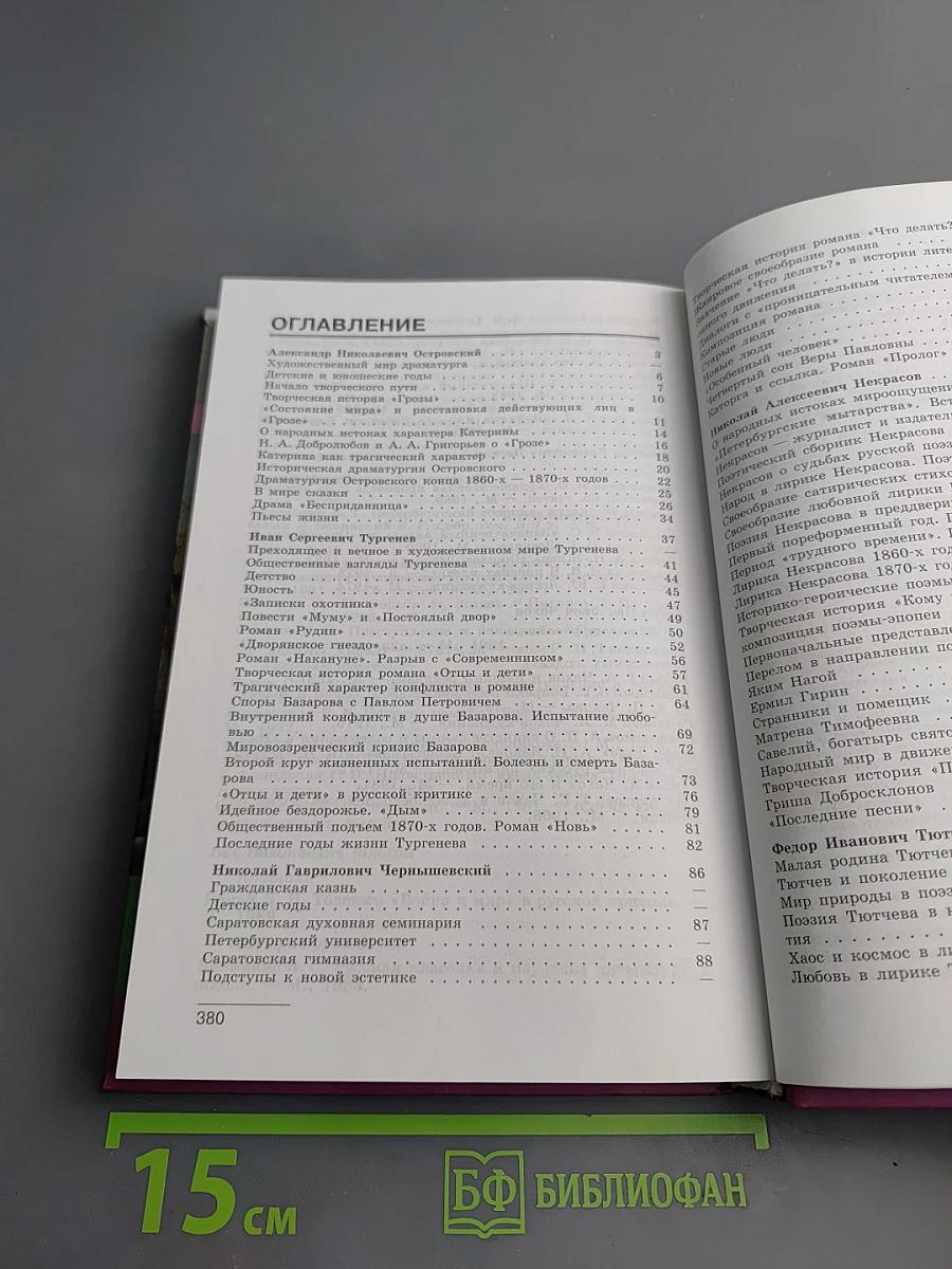 Литература 10 класс Часть 2