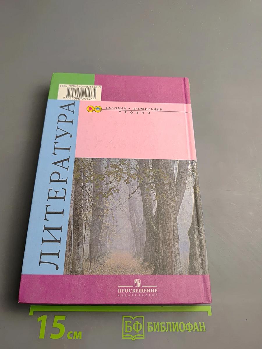 Литература 10 класс Часть 2