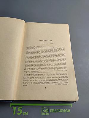 Собрание сочинений. Рассказы 1880-1887. Том 5