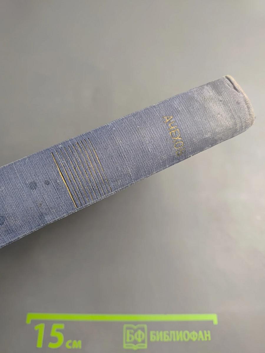 Собрание сочинений. Рассказы 1880-1887. Том 5