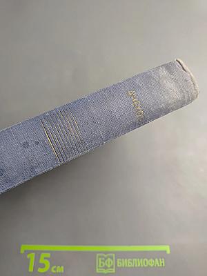 Собрание сочинений. Рассказы 1880-1887. Том 5