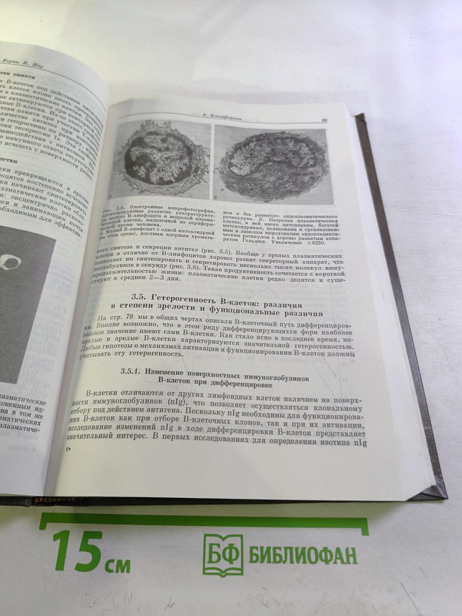 Иммунология. Том 1