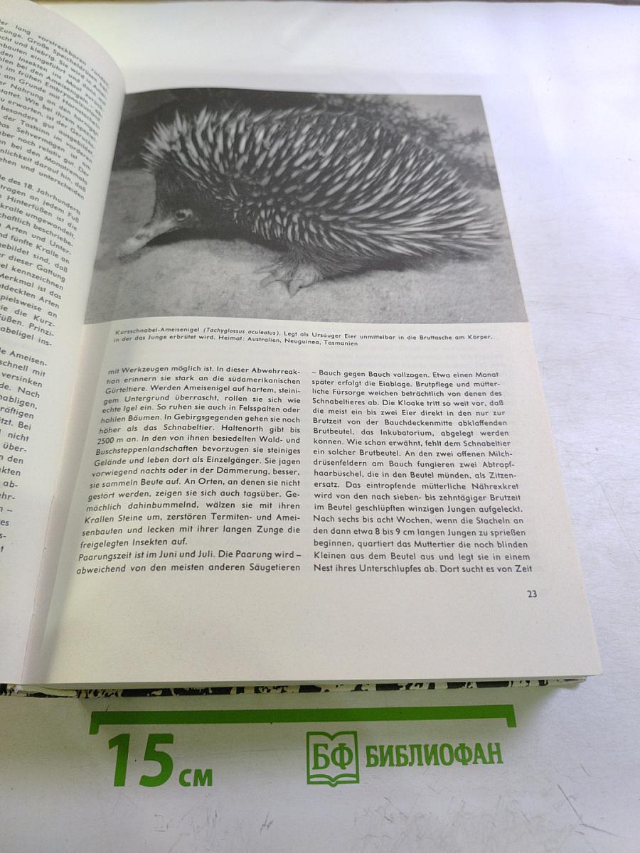 Urania Tierreich: Säugetiere