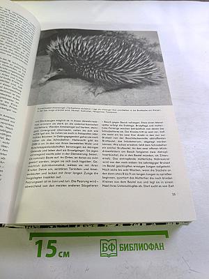 Urania Tierreich: Säugetiere