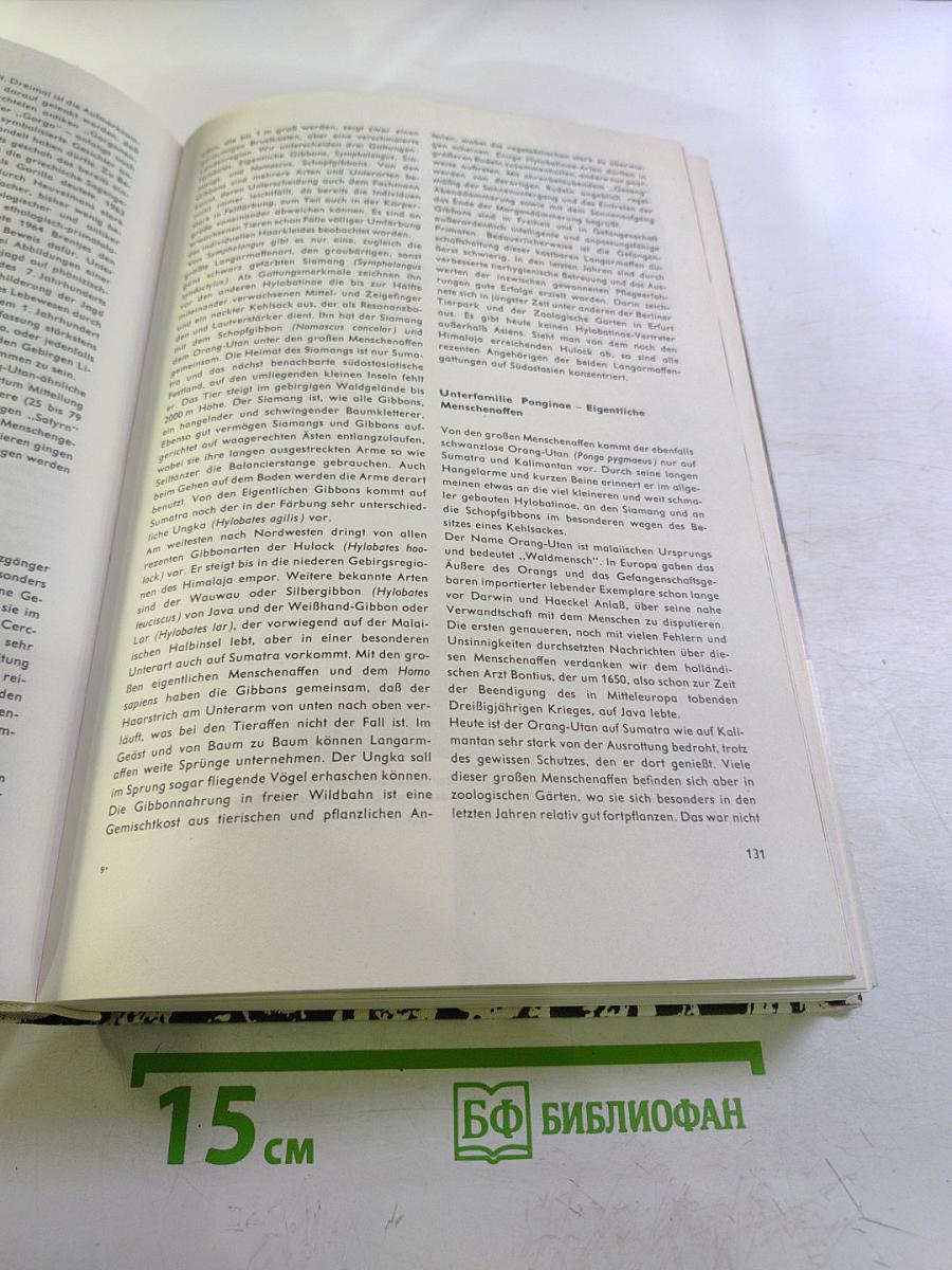 Urania Tierreich: Säugetiere