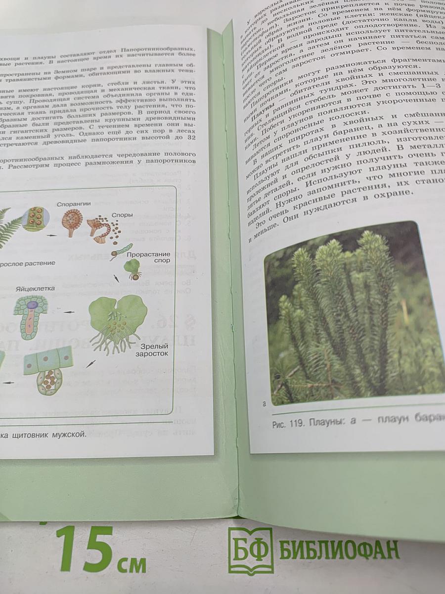 Биология для 5 класса