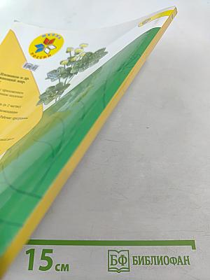 Окружающий мир 1 класс. Часть 2