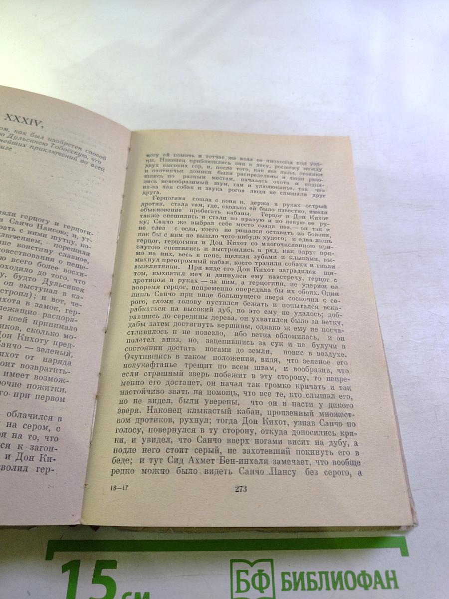Хитроумный идальго Дон Кихот Ламанчский. Часть II