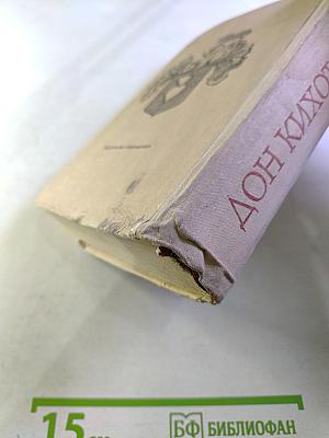 Хитроумный идальго Дон Кихот Ламанчский. Часть II