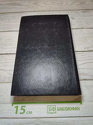 Виконт де Бражелон, или Десять лет спустя