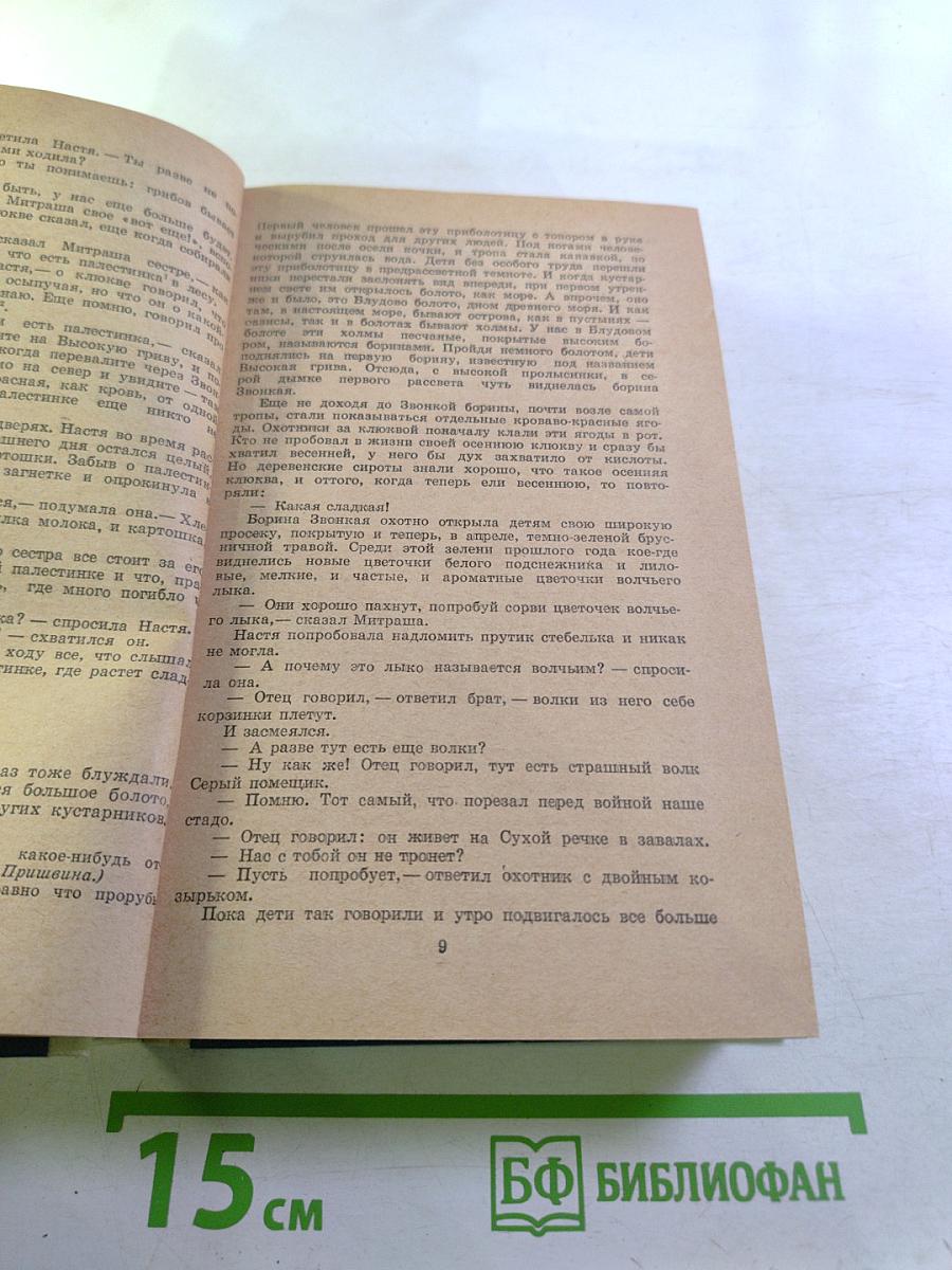 Кладовая солнца. Глаза земли. Корабельная чаща