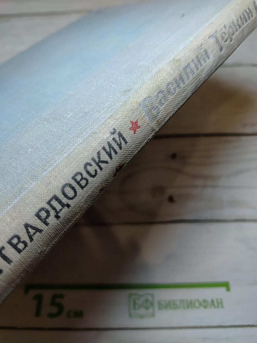 Василий Тёркин