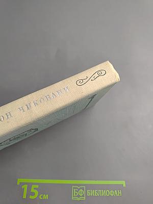 Симон Чиковани. Лирика