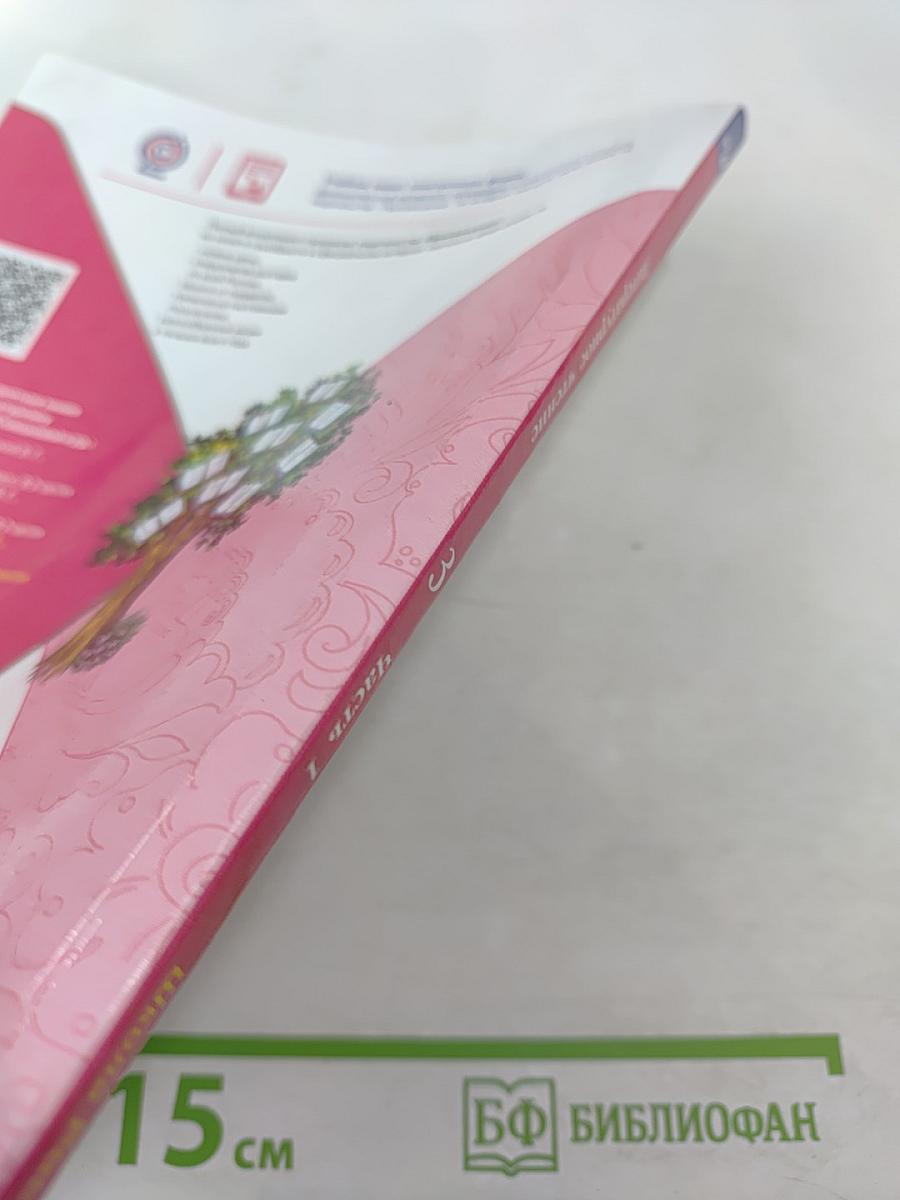 Литературное чтение. 3 класс. Часть 1