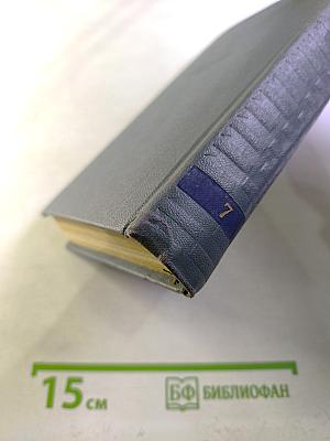 Собрание сочинений. Том 7: Ченслер. Гектор Сервадак