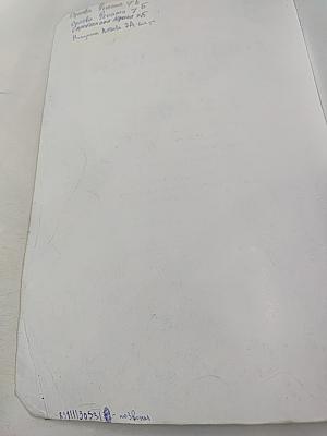 Звездный английский. Английский язык. 7 класс. Student's Book