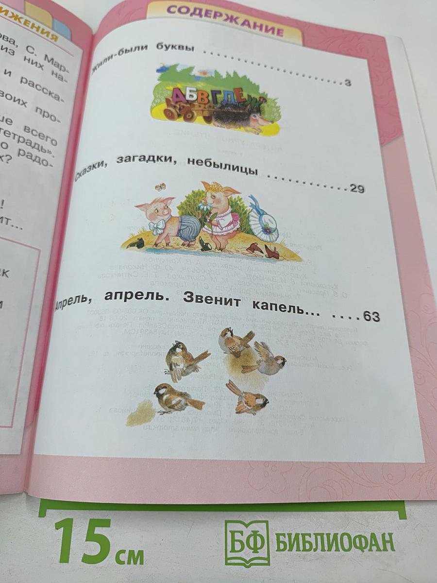 Литературное чтение. 1 класс. Часть 1