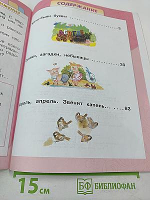 Литературное чтение. 1 класс. Часть 1