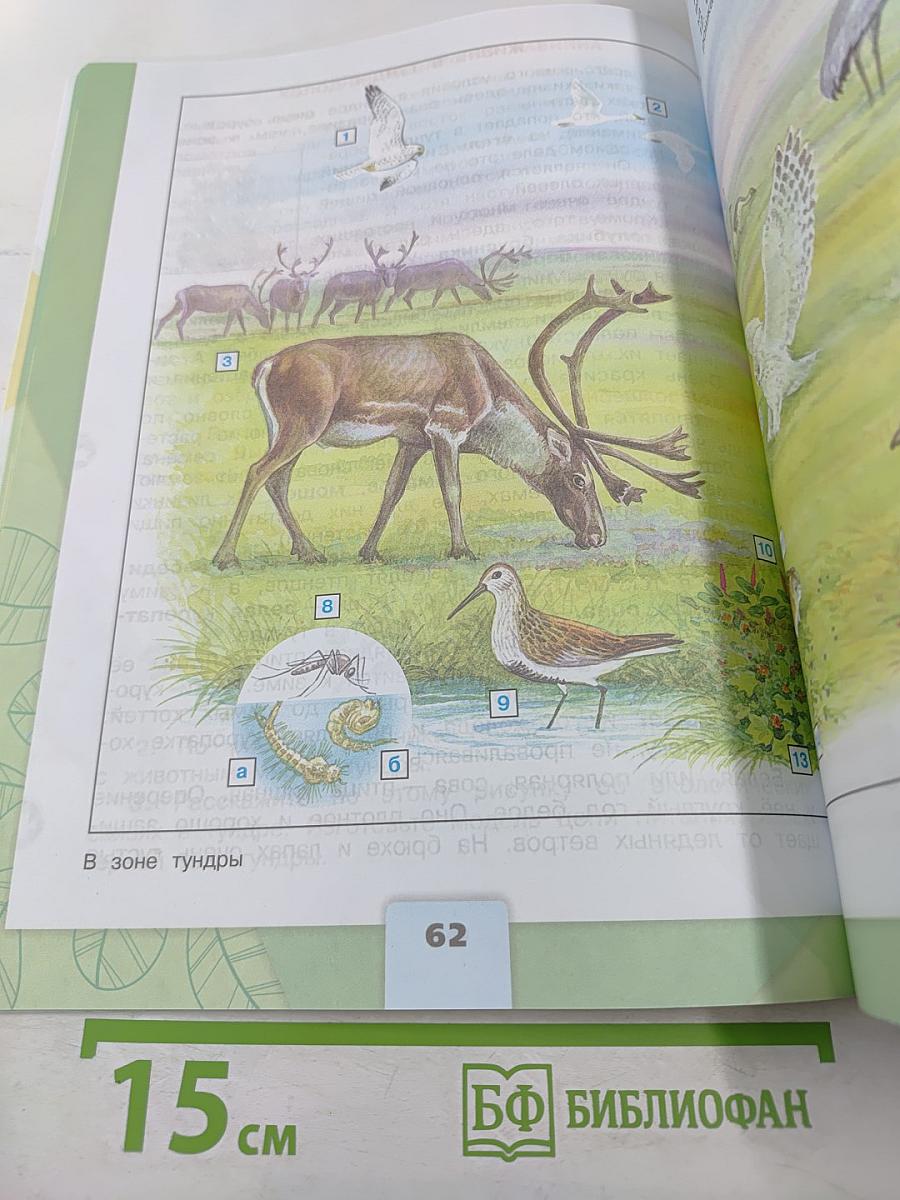 Окружающий мир 4 класс Часть 1