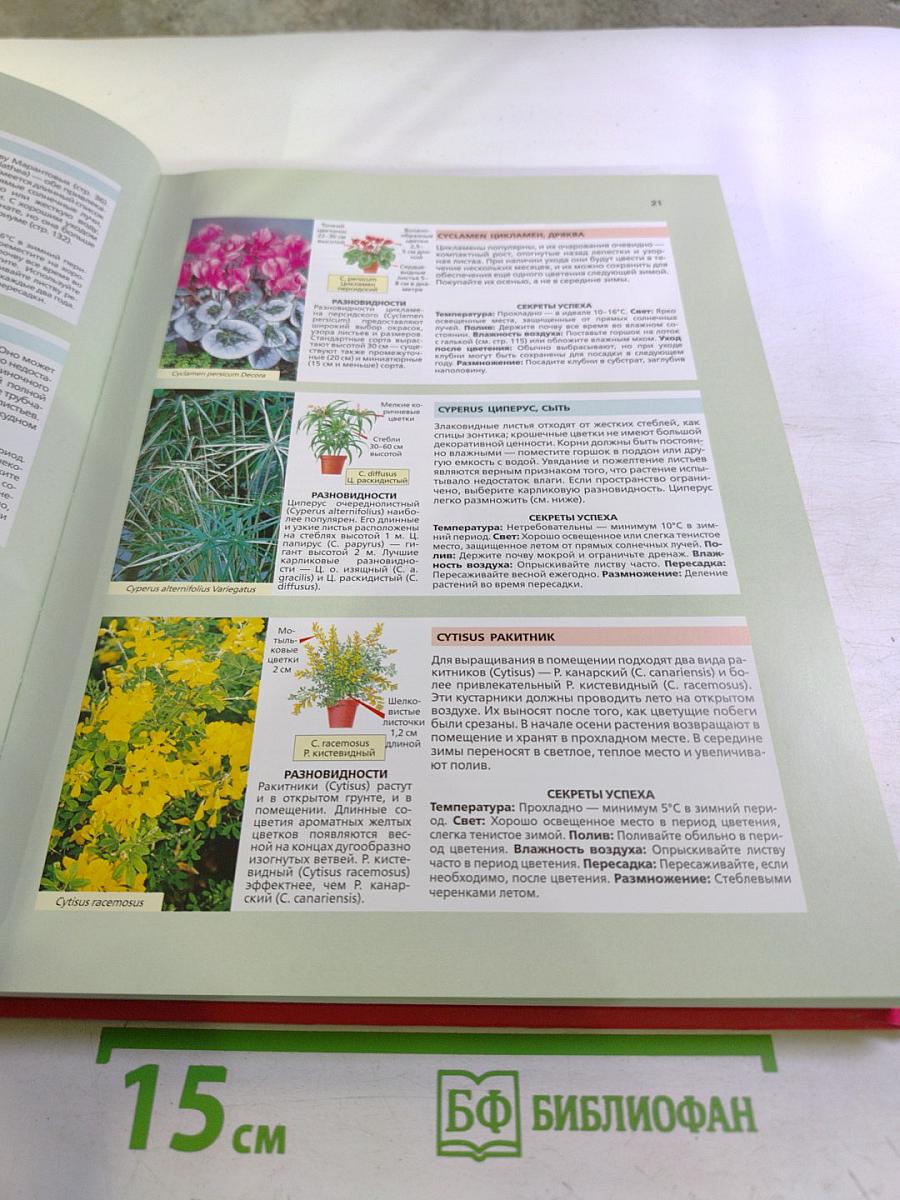 Библия комнатных растений