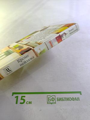 Кроме пейзажа: Американские рассказы