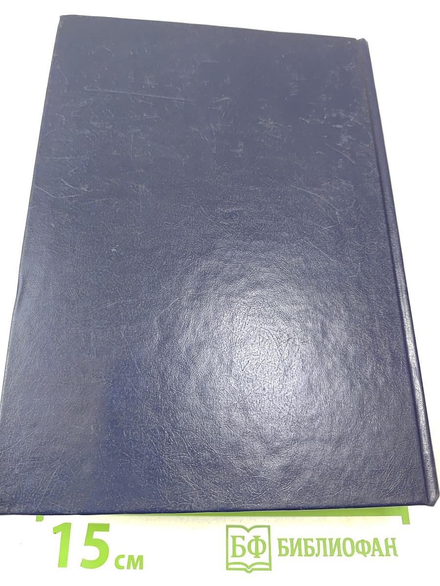 Книга песен. Из европейской лирики XIII-XVI веков