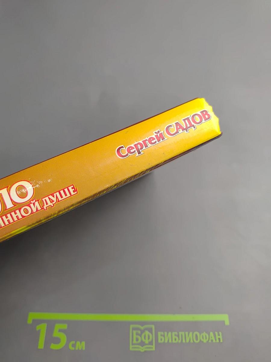 Дело о неприкаянной душе