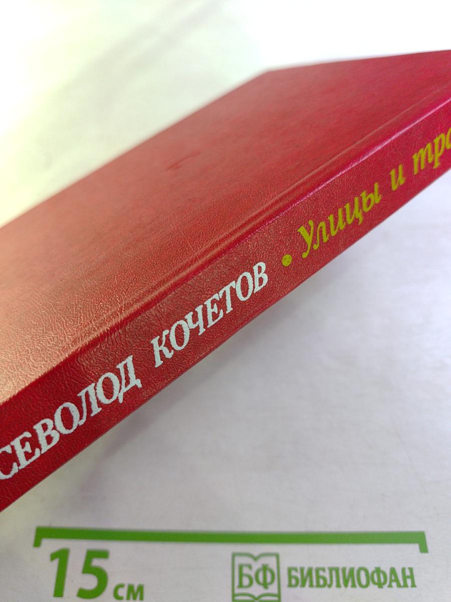 Улицы и траншеи: Записи военных лет