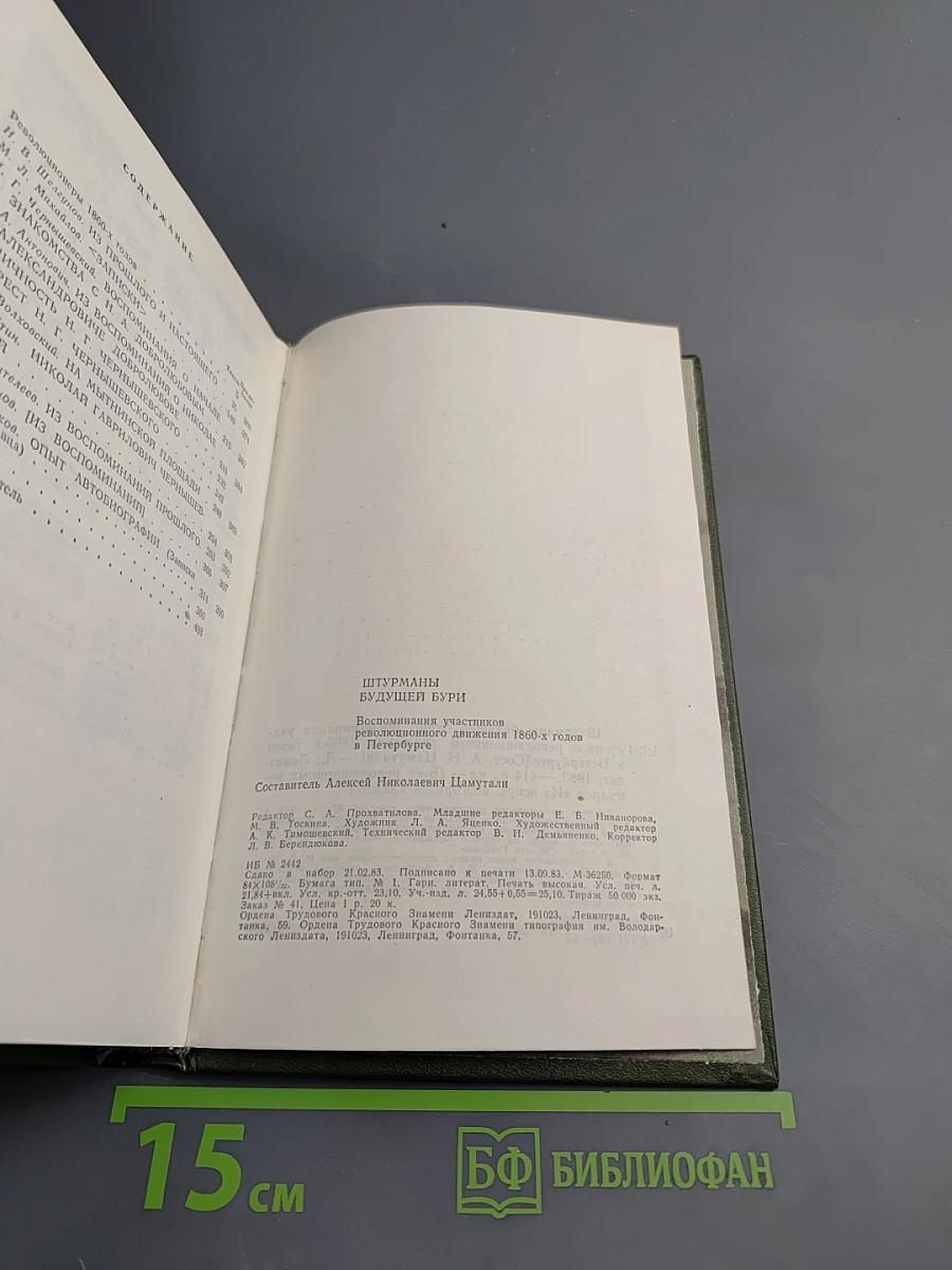 Штурманы будущей бури