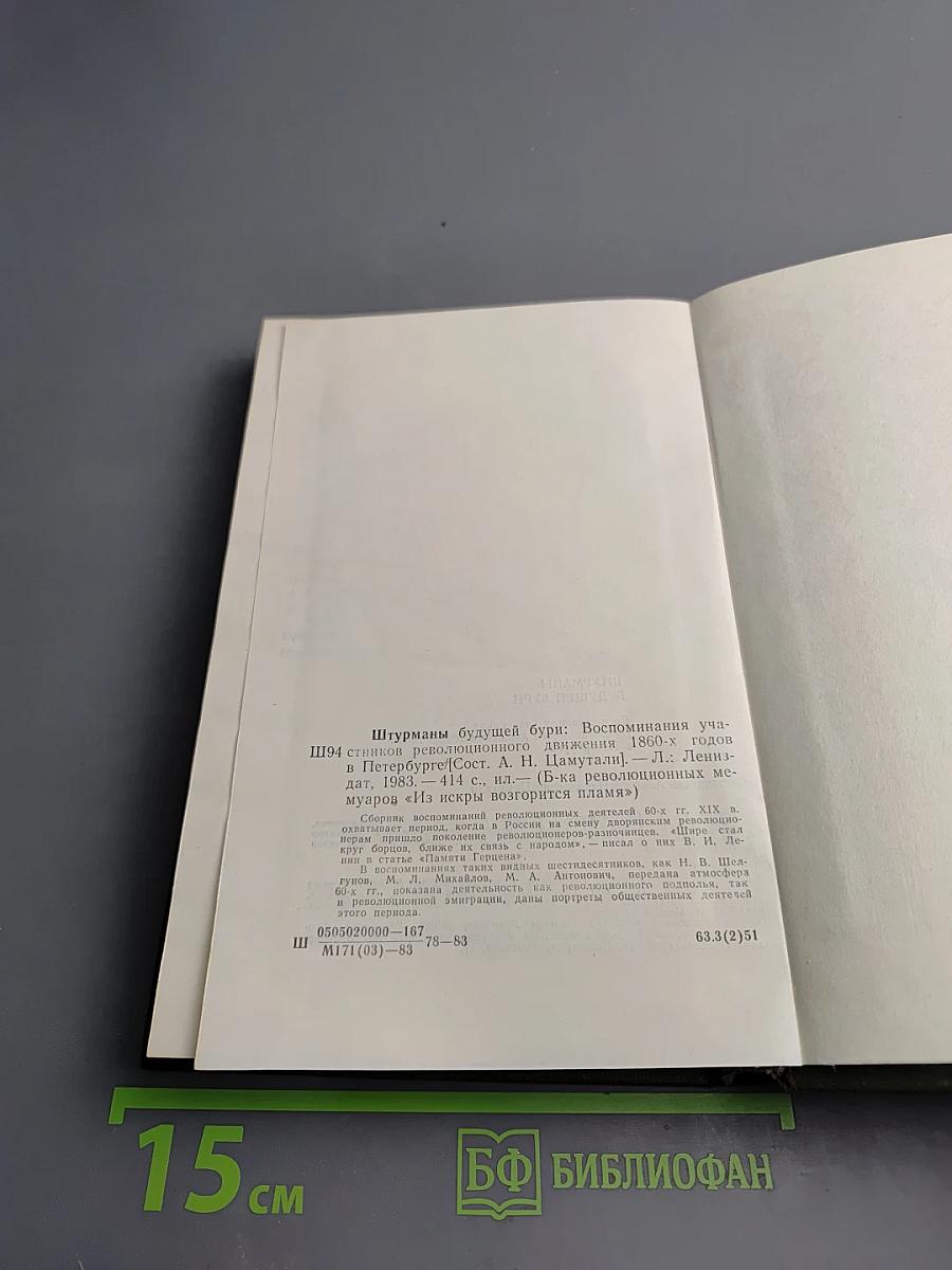 Штурманы будущей бури