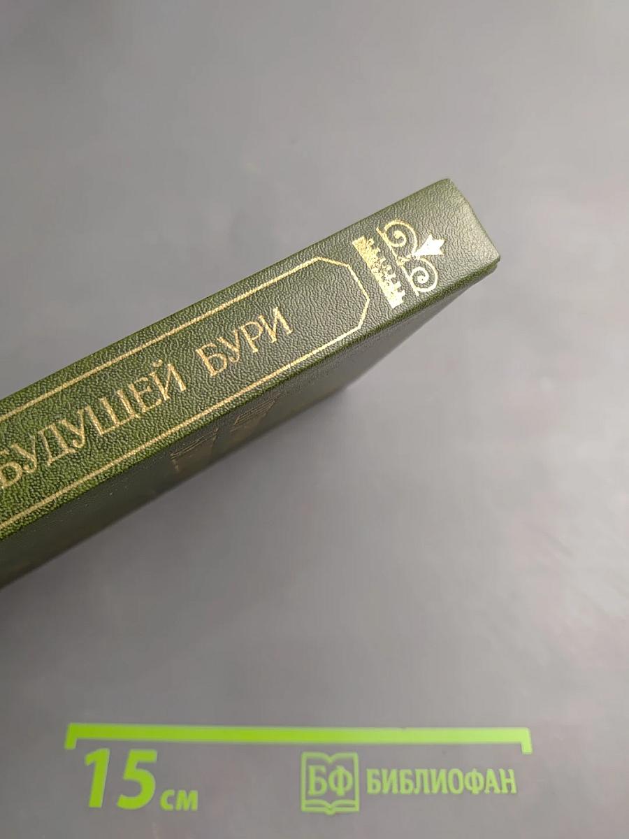 Штурманы будущей бури