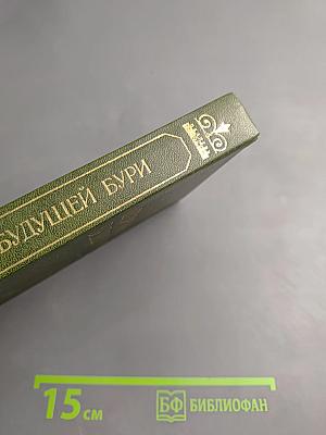 Штурманы будущей бури