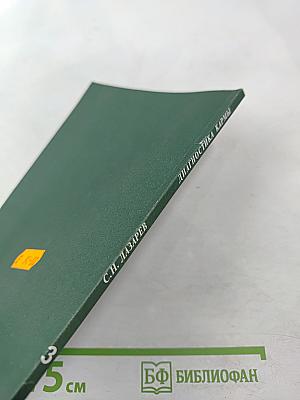 Диагностика кармы. Книга третья. Любовь