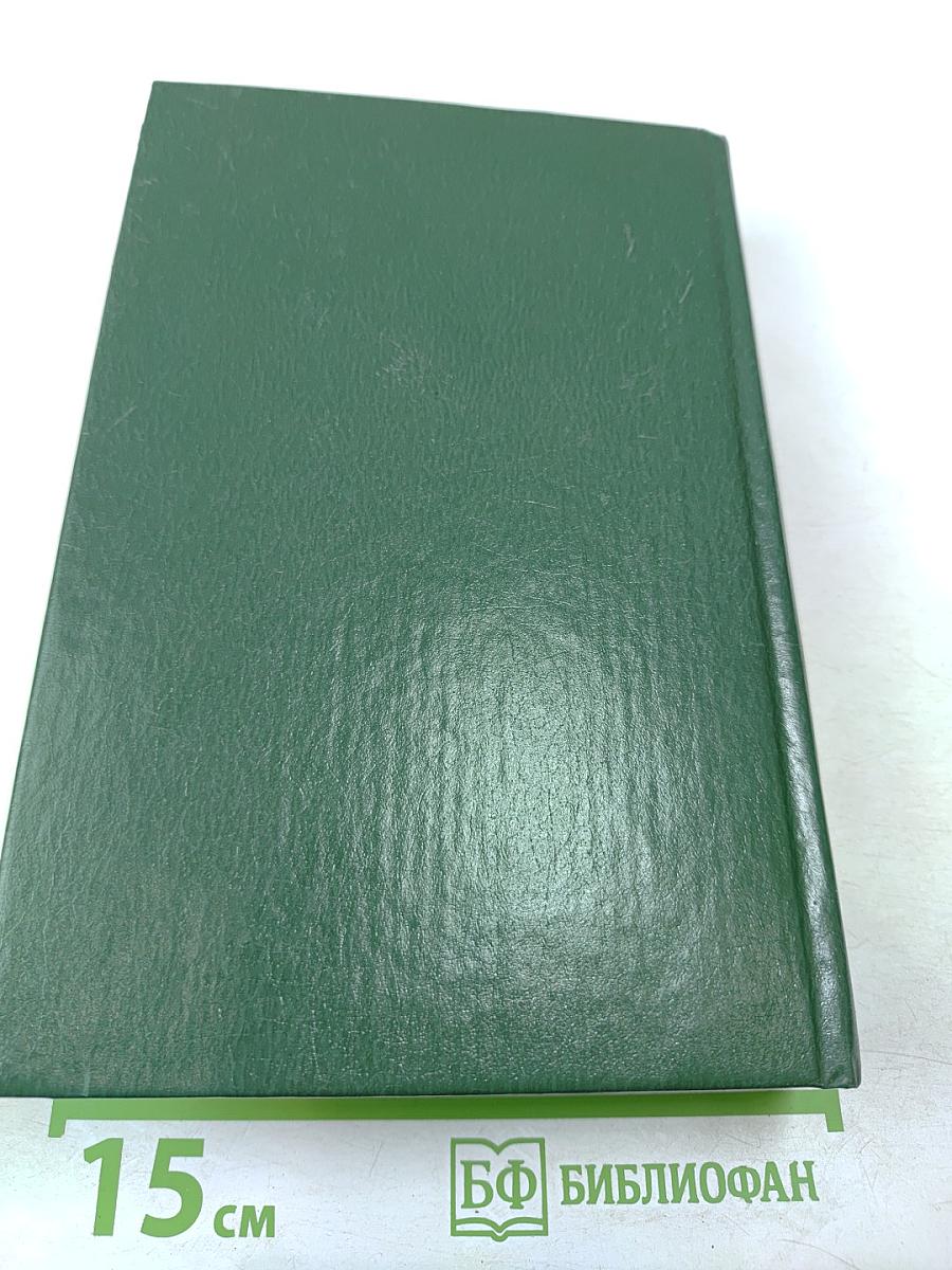 Ларец Марии Медичи. Пылающие скалы. Книга 1