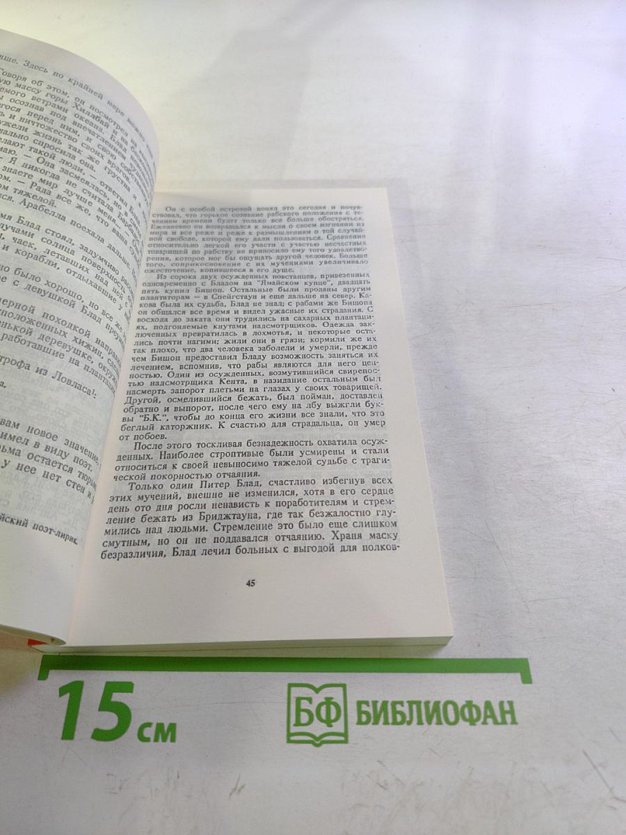 Одиссея капитана Блада