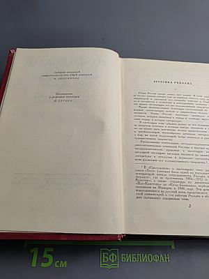 Собрание сочинений. Том четырнадцатый. Вопросы эстетики. Театр. Живопись. Литература