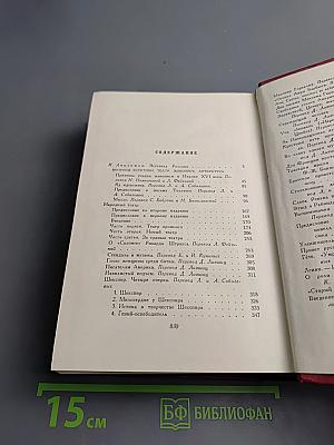 Собрание сочинений. Том четырнадцатый. Вопросы эстетики. Театр. Живопись. Литература