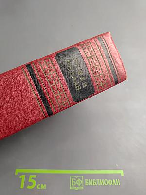 Собрание сочинений. Том четырнадцатый. Вопросы эстетики. Театр. Живопись. Литература