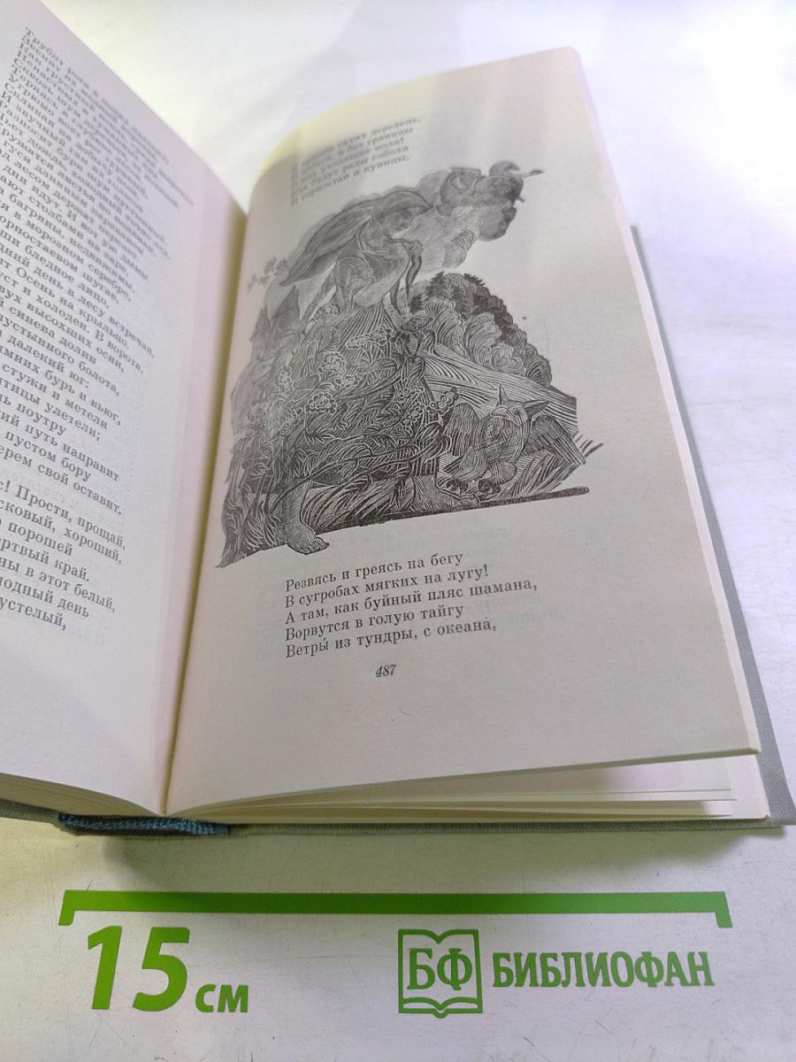 Русские поэты. Том третий