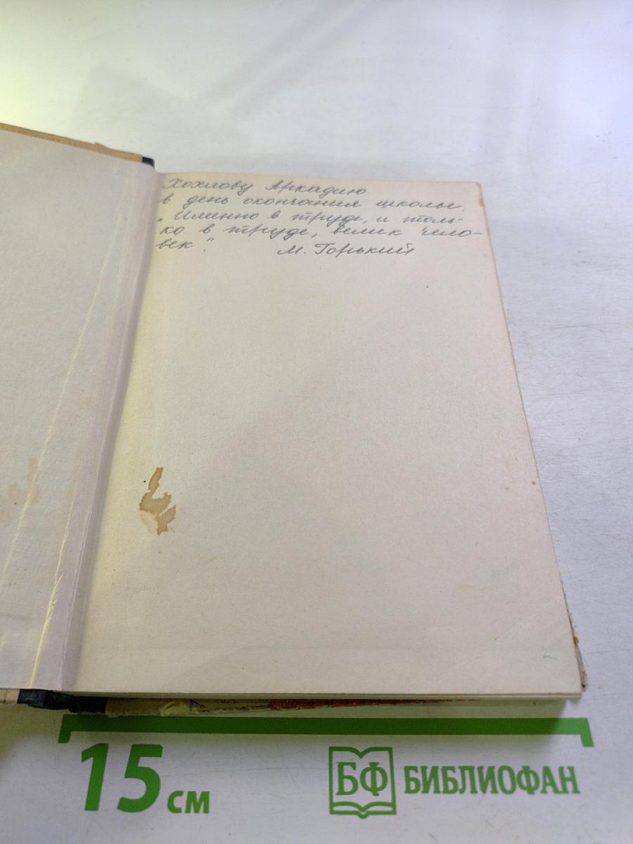 Мефистофель. История одной карьеры