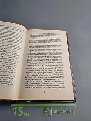 Любовь сильнее меча