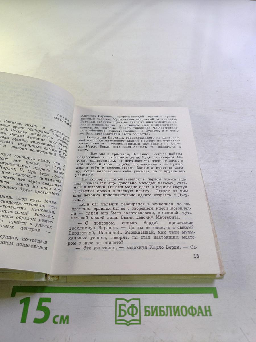 Маэстро борьбы