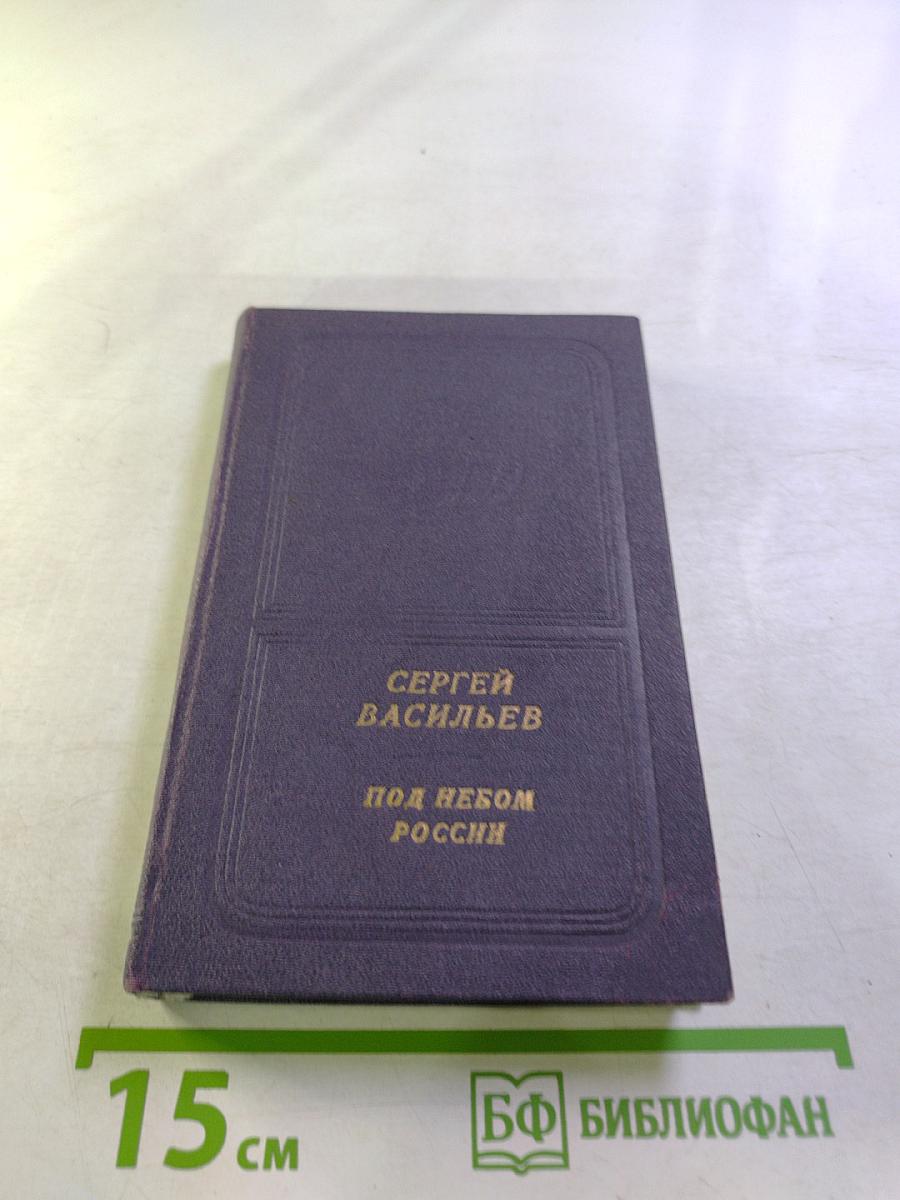 Под небом России. Стихи и поэмы