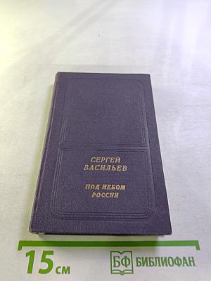 Под небом России. Стихи и поэмы