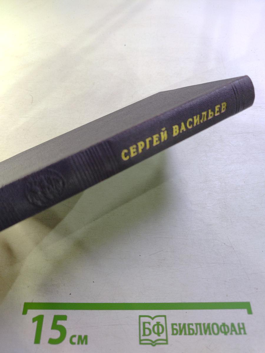 Под небом России. Стихи и поэмы